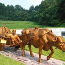 워낭소리 이미지