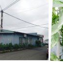 남태평양횟집 이미지