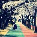 창원대로 이미지