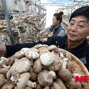 내탐마을 이미지