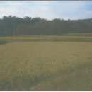 포항시북구52 이미지