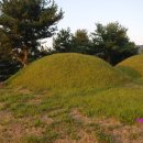 원유남 선생묘 이미지