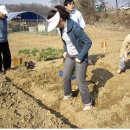 펑미인 이미지