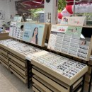 지니스안경 진영신도시점 이미지