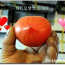 강서부산농장 이미지