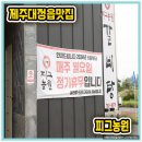 스테이모슬 이미지