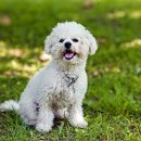 지글지글 이미지