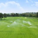 라온골프 이미지