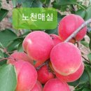 봉화대웅 네이버블로그