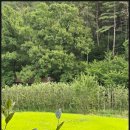 산뜨락펜션 이미지