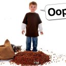 관광통역안내사_국사 이미지