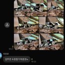 [일기] 껴안았던 겨울