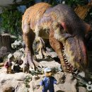 바니베어뮤지엄 이미지