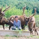 풍천농장 이미지