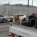무전1길 | 경남 통영시 통영의 다찌문화 맛보기 내돈내산 다찌 솔직후기 통영미가다찌