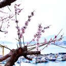 실안 노을길 이미지