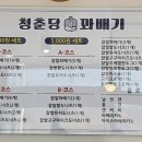 청춘당 꽈배기 티스토리