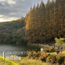 백옥대로 2332번길R | 한국외대 단풍스팟 명수당 다녀온 후기 (무료주차, 포토존, 추천시간)