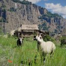 누구나 쉽게 유튜버 되기 이미지