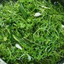 영채농장 이미지