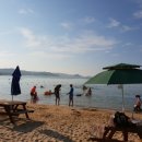 돌고래펜션민박 이미지