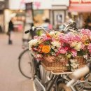 한국자동차공업사 이미지