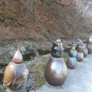 황금을따는마을 이미지