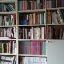 강남-080 이미지