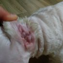 이화동물병원 이미지