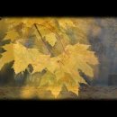 사랑지기 이미지