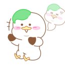 잠실파인만 이미지