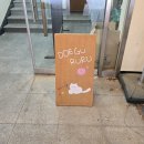 떼구루루 | 광주 동명동 고양이 카페, 떼구루루 혼카 후기