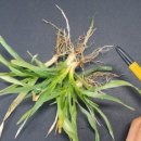 부안군농업기술센터 이미지