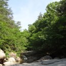 곡성-051 이미지