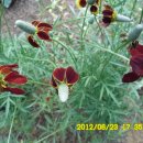 선산대로-10 이미지