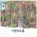 월랑봉 | 제주 3월 다랑쉬오름 월랑봉 전망대 주차장 오름탐방로 등산코스