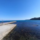 경덕중학교 | 안동 탑국어전문학원) 2023년 경덕중학교 2학년 2학기 기말 국어 내신 대비 후기글