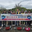 여수시청 미디어투데이