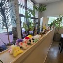 수리산두꺼비 운양점 | 김포 운양동맛집 고추장불고기와 콩탕으로 힐링밥상 대접받을수있는 "수리산두꺼비 운양점" 솔직후기