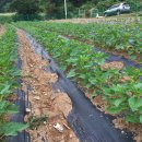 진량농약 이미지