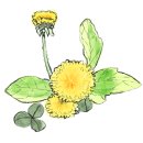 치유원예테라피 이미지