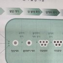 봉포약국 이미지