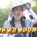 성훈농장2 이미지