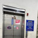 경희대석사경무태권도 이미지