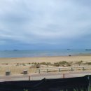 충남 태안 여행 추천 꽃지해수욕장ㅣ코리아플라워파크