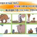 어린이가족뮤지컬누가 내 머리에 똥 쌌어? 이미지