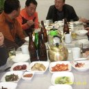 초원목욕탕 Daum카페