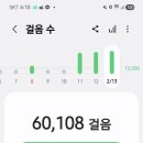 똘똘이청과