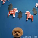 트리밍아유 이미지