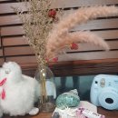 로아코리아 이미지